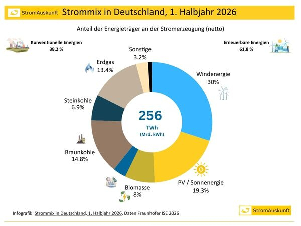 Der Strommix in Deutschland im 1. Halbjahr 2026
