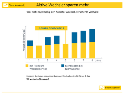 <p>Infografik Ersparnis Wechselservice Strom & Gas</p>