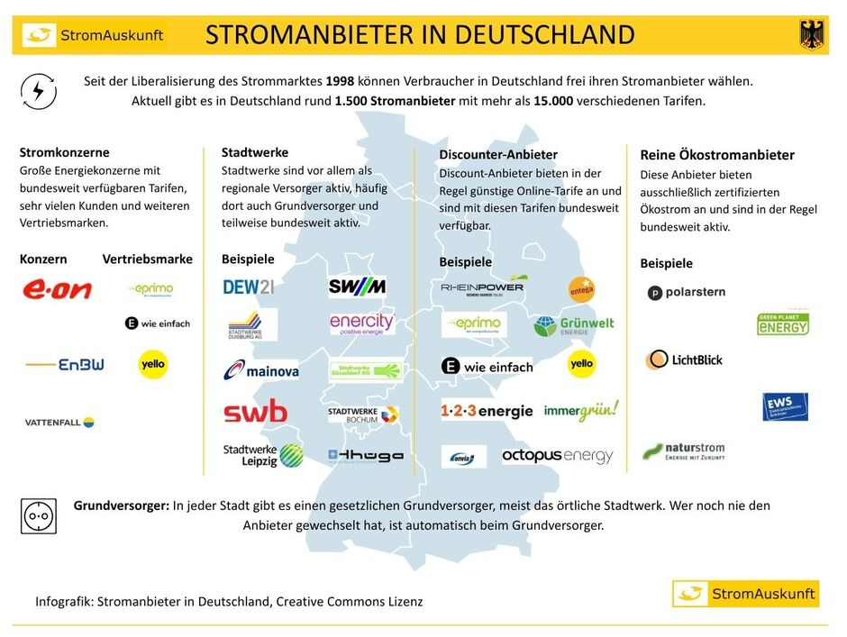 Infografik Stromanbieter in Deutschland